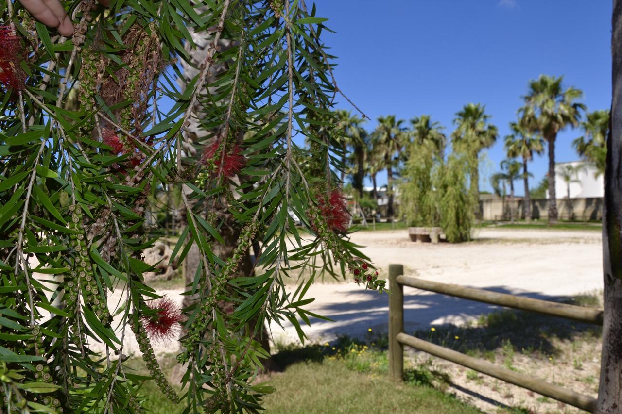 Agriturismo Santa Croce Lucugnano Exteriér fotografie